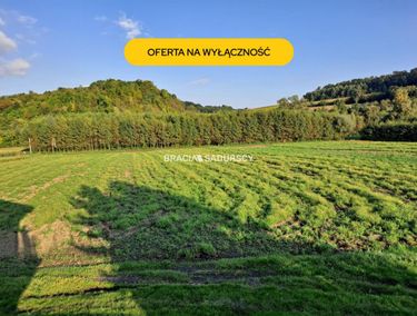Zdjęcie ogłoszenia