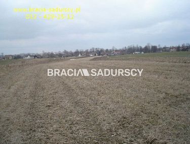 Zdjęcie 15954889 - 1