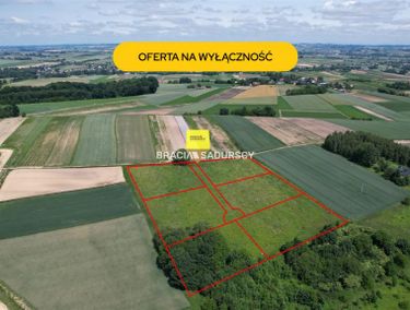 Zdjęcie ogłoszenia