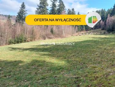 Zdjęcie ogłoszenia