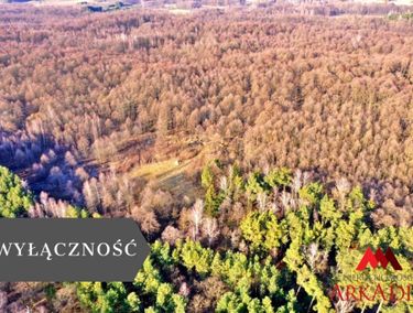 Zdjęcie 15957882 - 4