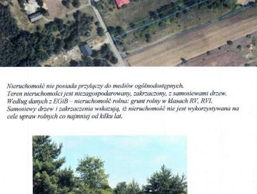 Zdjęcie ogłoszenia