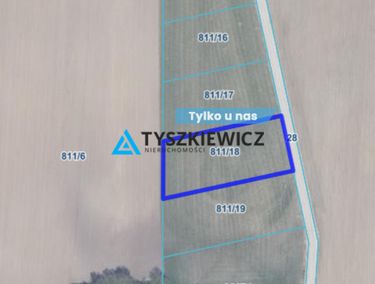 Zdjęcie 15958299 - 4
