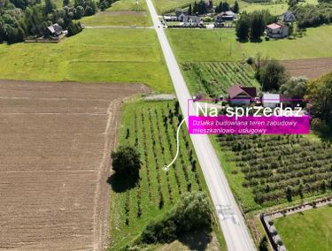 Zdjęcie 15958473 - 2