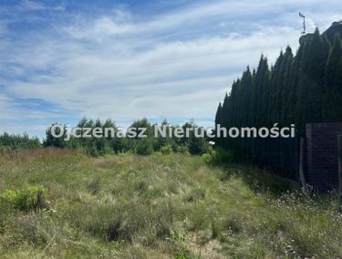 Zdjęcie 15958657 - 5