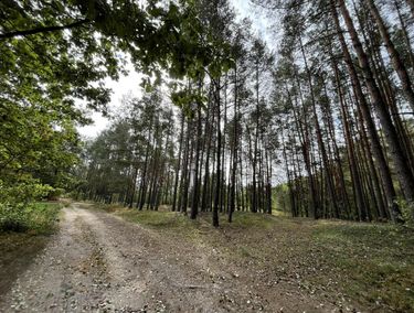 Zdjęcie ogłoszenia