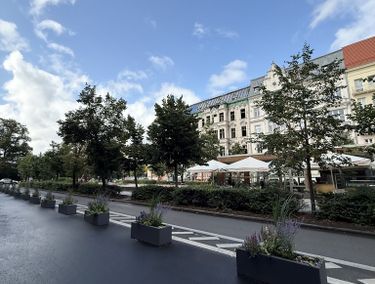 15959624 - zdjęcie ogłoszenia