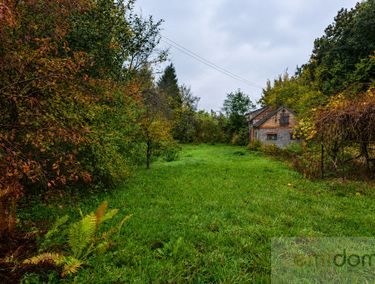 Zdjęcie 15959736 - 2