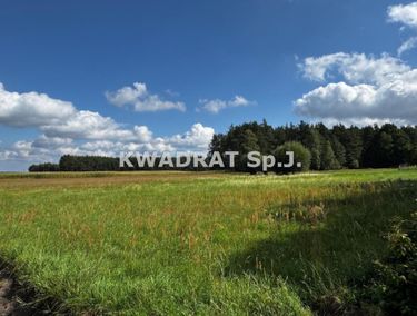Zdjęcie 15959887 - 3
