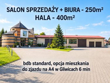Zdjęcie 15959946 - 1