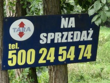 Zdjęcie 15960017 - 1