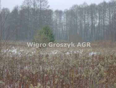 Zdjęcie 15960126 - 2