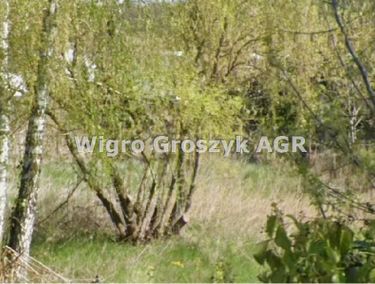 Zdjęcie ogłoszenia
