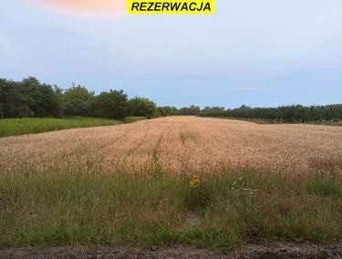 Zdjęcie ogłoszenia