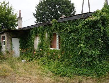Zdjęcie ogłoszenia