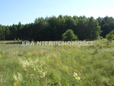 Zdjęcie 15961310 - 2
