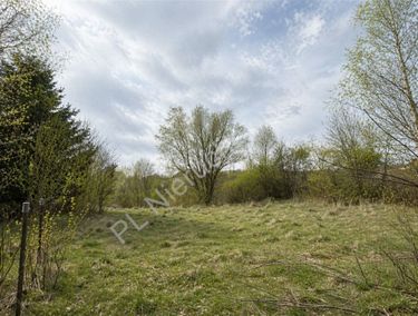Zdjęcie ogłoszenia - 15961435
