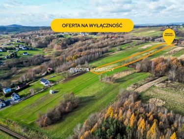 Zdjęcie ogłoszenia - 15961443