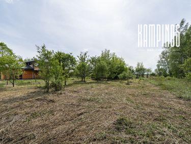 Zdjęcie 15961561 - 5