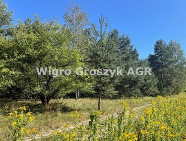 Zdjęcie ogłoszenia