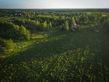 Zdjęcie ogłoszenia