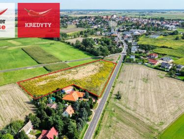 Zdjęcie 15962020 - 1