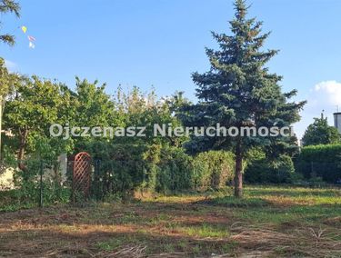 Zdjęcie 15962102 - 1