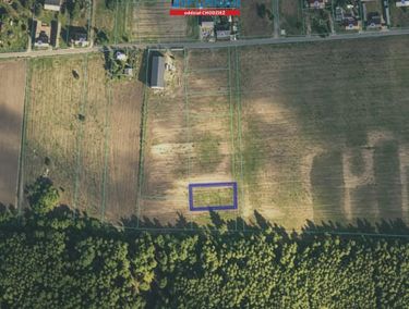 Zdjęcie 15962106 - 1