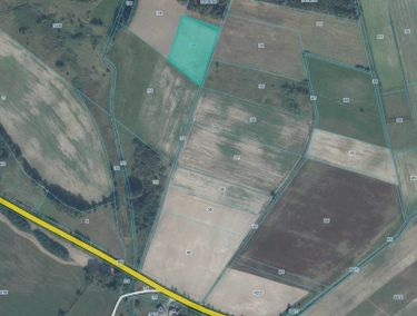 Zdjęcie 15962185 - 1
