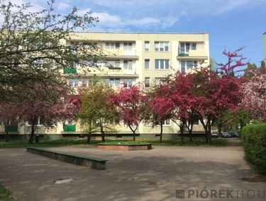Zdjęcie ogłoszenia