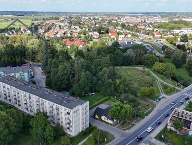 Zdjęcie ogłoszenia - 15962583