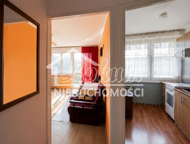Zdjęcie ogłoszenia - 15962608