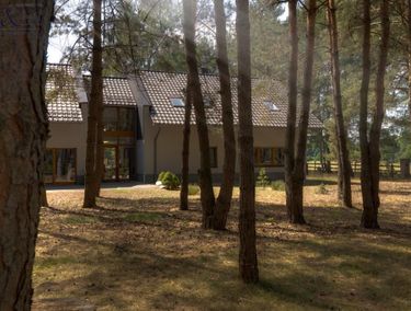 Zdjęcie ogłoszenia