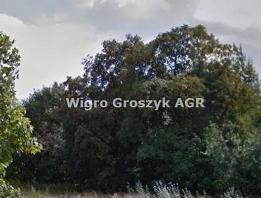 Zdjęcie 15962699 - 1