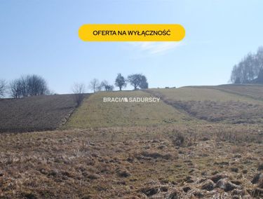 Zdjęcie 15962756 - 3