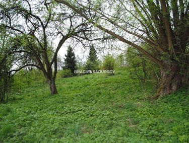 Zdjęcie 15962772 - 3