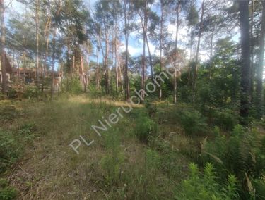Zdjęcie 15962823 - 2