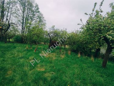 Zdjęcie 15962824 - 3