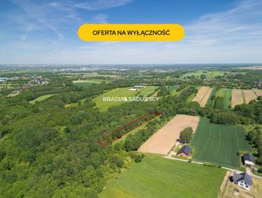 Zdjęcie ogłoszenia