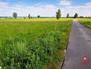Zdjęcie ogłoszenia - 15964129