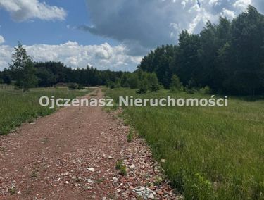 Zdjęcie ogłoszenia - 15964219