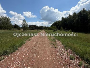 Zdjęcie 15964219 - 1