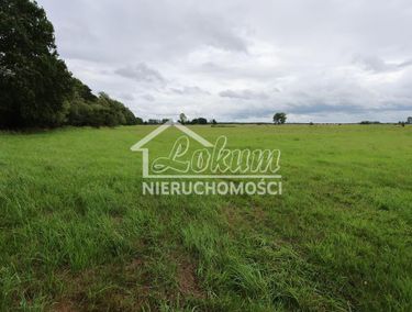 Zdjęcie 15964379 - 3