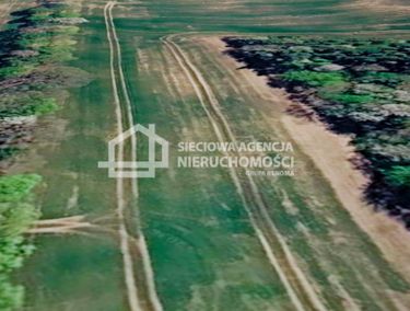 Zdjęcie ogłoszenia - 15964733