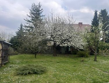 Zdjęcie ogłoszenia - 15965006