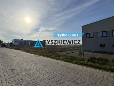 Zdjęcie 15965095 - 1