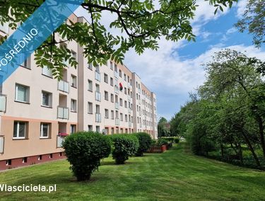 Zdjęcie 15965118 - 2