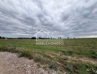Zdjęcie 15965256 - 2