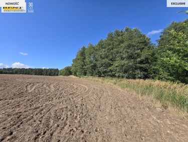 Zdjęcie ogłoszenia - 15965320