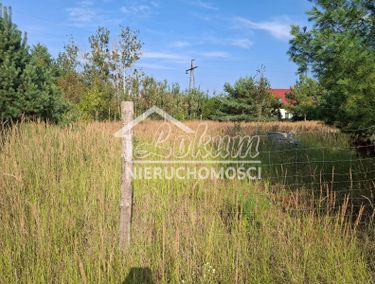 Zdjęcie 15965341 - 1